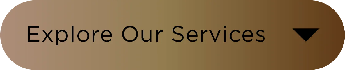 Explore Our Services